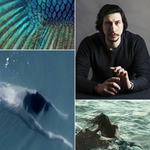 shwtlee2reylo: Just Add Water - Reylo Mermaid AU Synopsis: Rey was an orphan who lived by the ocean.