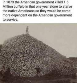 digit-like-a-bigot-spigot:  lissanaria:  https://en.wikipedia.org/wiki/Bison_hunting For a source rather than just a statement.  FUCK the US tbh 