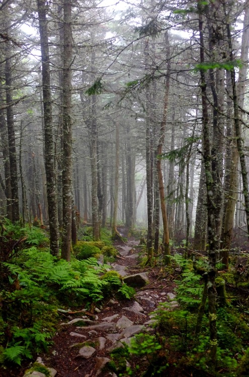 pedrodynomite:all in a days walk aaaawww :3 Loooffff