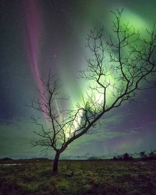 “Stuff Your Eyes With Wonder, Live As If You’d Drop Dead In Ten Seconds. See The World. It’s More