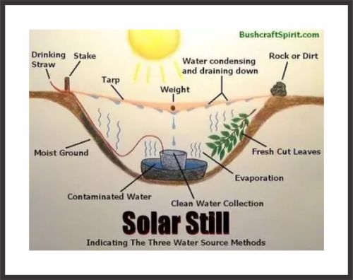 Solar Still. Turn water potable.