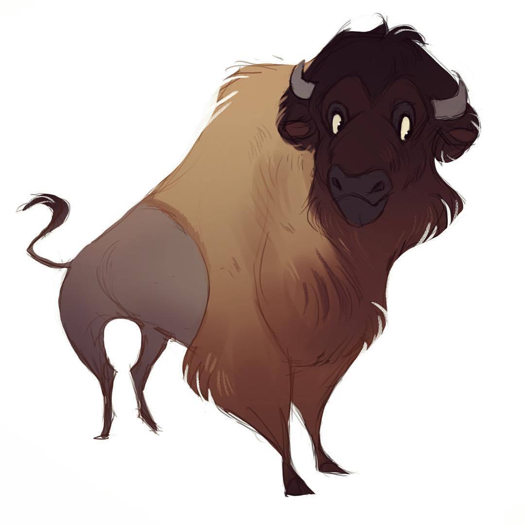 And another bison! I can’t get enough of these hairy beasts.