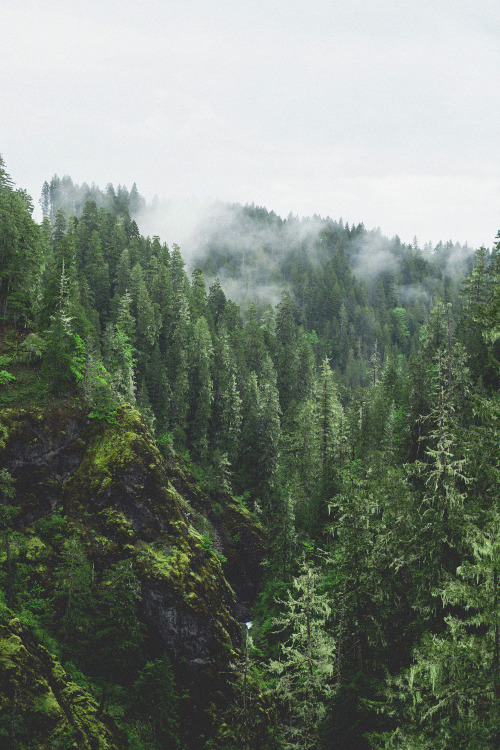 andreitintea:  eartheld:  mostly nature  follow this blog for similar // 