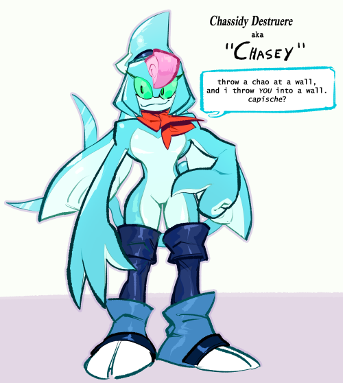 made a ref for Chasey, my beloved funny Chaos 0 design. needless to say, she still cares about chao a lot
they like wearing clothes and a pair of green glasses, but sometimes she just goes out like that.
no one has stopped her. no one can stop her.