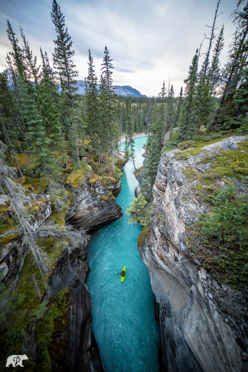 disasterpreppers: chrisburkard:Alberta’s forests, rivers, and mountains. Navigating by kayak w
