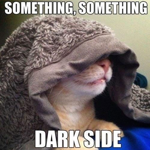 lolsofunny:  (lol here!)