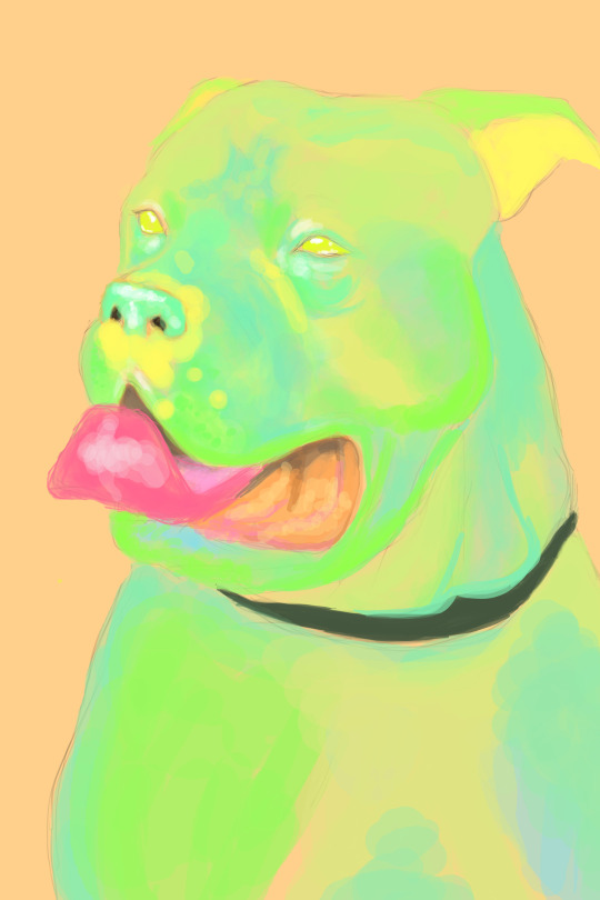 I created another easier donate button. I have two weeks to get to 1,000 dollars so I can have a home. I am also doing commissions of portraits for 20$ Full colour and 15$ for line art with dashes of colour. You can choose your colours you would like