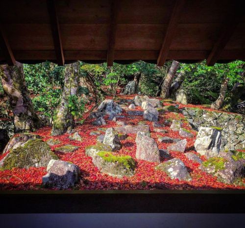 永源寺含空院庭園 [ 滋賀県東近江市 ] ② Eigenji Temple Gankuin Garden, Higashiomi, Shiga ーー湖東三山と並ぶ滋賀の #紅葉の名所 観楓期に“標月亭