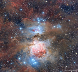 fyeahastropics:  Dust of the Orion Nebula(via