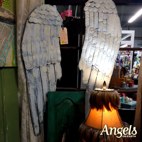 Flea Market Angel Wings; Photograph by Brett LeveridgeView more Angel Sightings here: angelsi