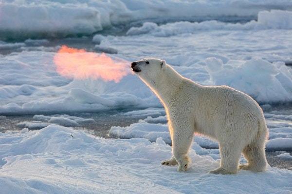 victim-of-wonderland:  sparklezoi:  sixpenceee: Sun rays shine on the warm breath