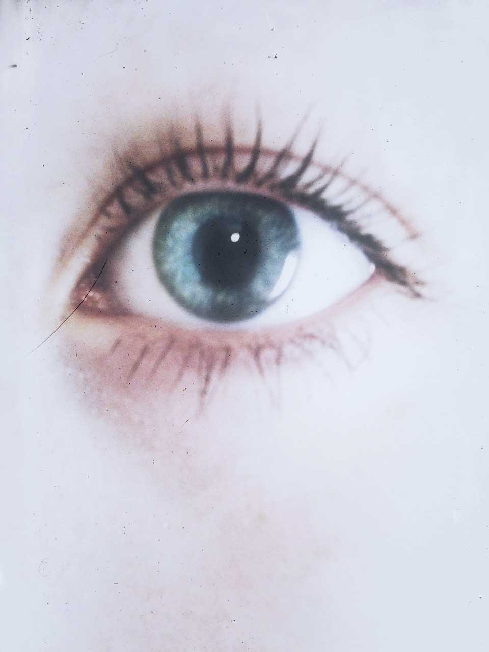 wotdafuck:  ☯☮CLICK FOR GRUNGE☯☮ 