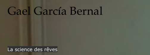 Gael García BernalLa science des rêves (2006)