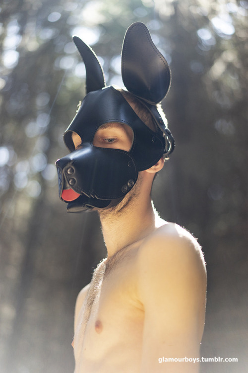 daverednal: -add your own caption and if i like it i might give you something-  Pictures by http://glamourboys.tumblr.com 