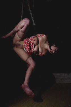 hangknot:  Rope and photo; Julien Lacoma ( Hangknot )Model: Sakyubasu