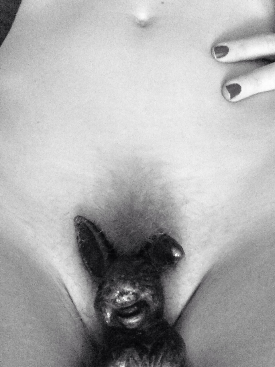 seriouslysensuous:  the-naked-me:  little rabbit the-naked-me  Messaggio carino pubblico!