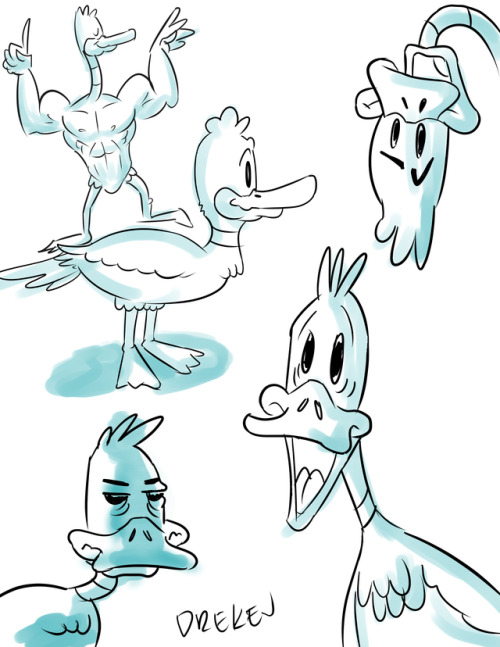 Maybe You Like Ducks