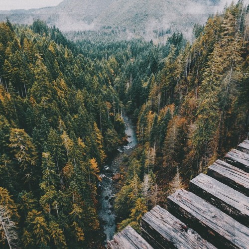 appalachian-trail: Johannes Becker