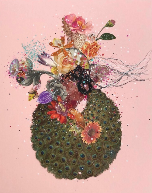 the amazing flowers in the art of Jenny Brown
