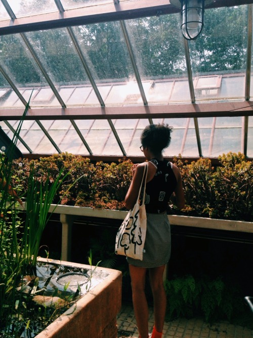 perkamentus:  We went to a botanical garden today. They had succulents. 