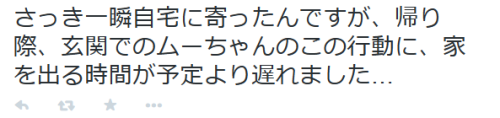 highlandvalley:ユウＧさんはTwitterを使っています: “さっき一瞬自宅に寄ったんですが、帰り際、玄関でのムーちゃんのこの行動に、家を出る時間が予定より遅れました… http://t.co/nO81dazKgO”