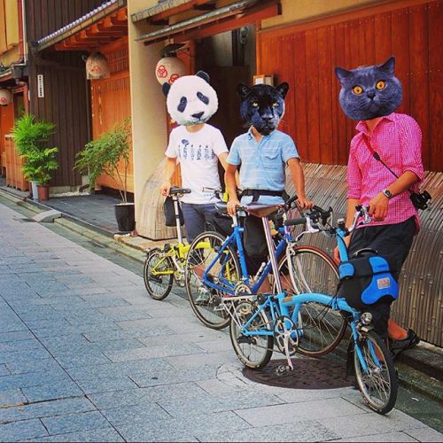 bromptonbcn:  先日の京都サイクリングの様子。 楽しかったなあ(๑′ᴗ‵๑) 次はどこに行こうかな？？ . #Nikon1 #bromptonbicycle #Brompton #ブロンプ
