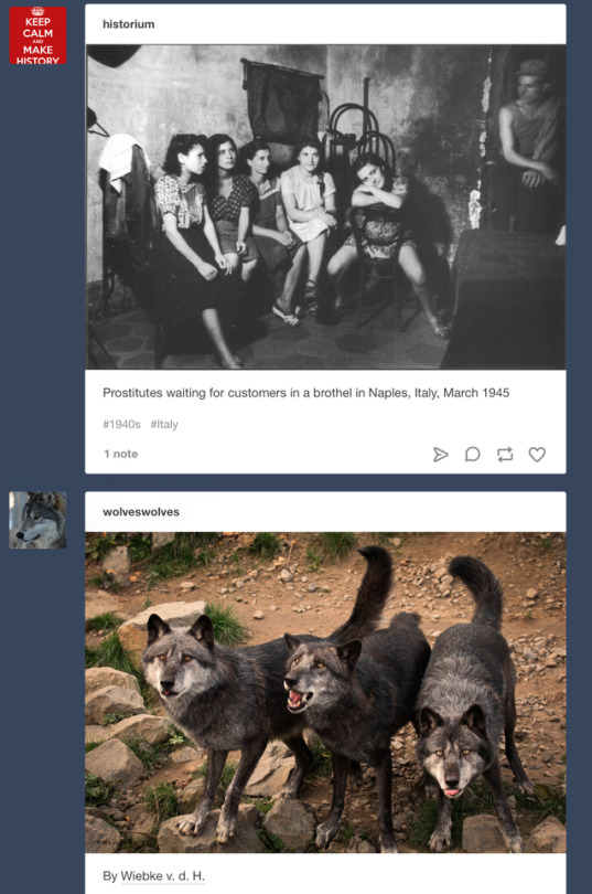 Tumblr media