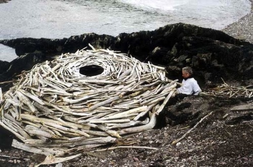 flores-fuego:asylum-art:Natural sculptures by Andy Goldsworth “Andy Goldsworthy is an extraordinary,