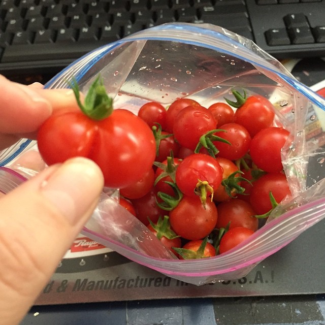 hellobecca:  Imma eat all these little tomatoes!  Bring the salt and pepper👏🏻🍅