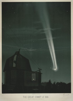 humanoidhistory:  The Great Comet of 1881, illustrated by Étienne Léopold Trouvelot, featured in The Trouvelot Astronomical Drawings. 