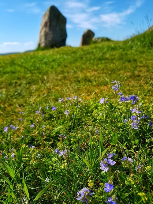 Tomnavrie Recumbent Stone Circle, nr Garland, Scotland, 28.5.18. A stunning recumbent stone circle o