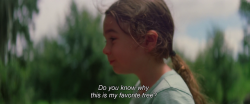 365filmsbyauroranocte:   The Florida Project