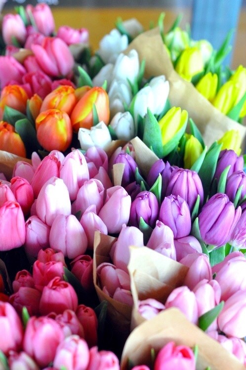 “Color directly influences the soul. Color is the keyboard, the eyes are the hammers, the soul is th
