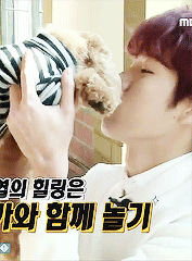 namsoogyu:  27th August 1991. Happy Birthday Lee Sungyeol!