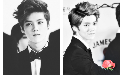 exoplushie-deactivated20141116:  Exo x suit  ↳ Luhan 