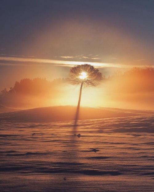 crossconnectmag:  Photography by Sandra Linnell Sandra Linnell is a 36 years old self-taught photographer, based in Stockholm, Sweden. She shoots a lot of nature and lifestyle photography using an Olympus OMD EM-10 and is an ambassador of the brand. 