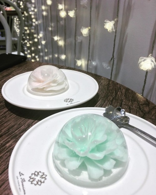 mayahan: Edible Raindrop Jelly Cake Includes a Cherry Blossom Flower Blooming on Your Plate