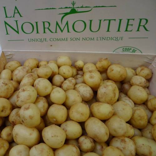 La Bonnotte of Ile de Noirmoutier – The World’s Most Expensive Potato