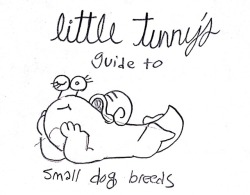 little-tunny:  Guide to small dog from my Instagram!guide to big dogsguide to medium dogs