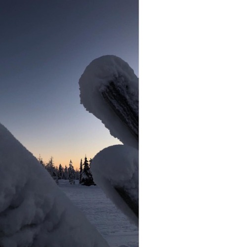 Lapland sunrise around 10AM #lapland #finland #sunrise #iphoneography #travelphotography #16x9 #grat