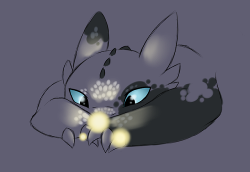 Patch likes fireflies