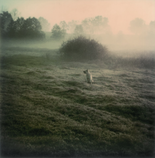 filmlinc:“Tarkovsky often reflected on the way that time flies and wanted to stop it, even with thes