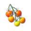 rnercutio