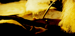 wrathandruin-blog:  Do we leave Middle-Earth to its fate?Do we let them stand alone? 
