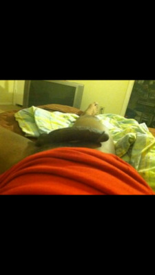 oneandonlyjayz4frendz:  *Dat Hood Dick* 704