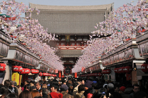 japan-overload: 仲見世通り／Nakamise street by chiichii2011