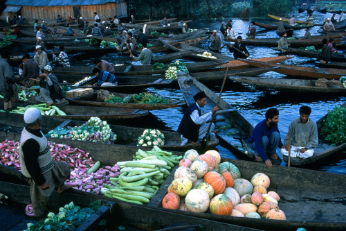 20aliens: INDIA. Jammu and Kashmir. Srinagar. 1999. Scores of Shikaras laden with fruit and vegetabl