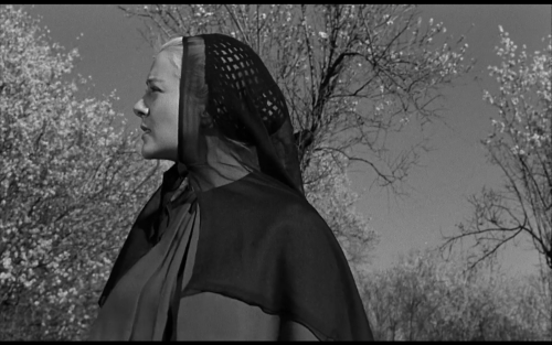 1961, Viridiana, Luis Buñuel