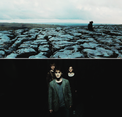 hp-picspam:          Dobby has no master. Dobby is a free elf, and Dobby has come to save Harry Potter and his friends! 