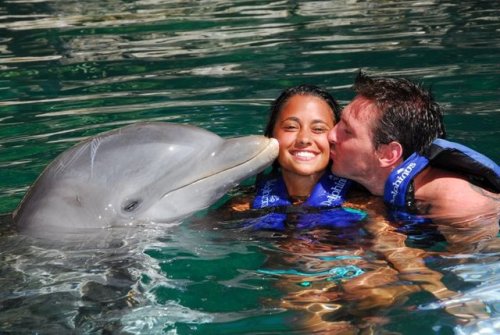 DOLPHIN KISSES! 😘 🐬 